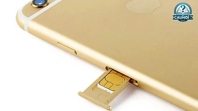 Cách phòng ngừa iphone không nhận sim