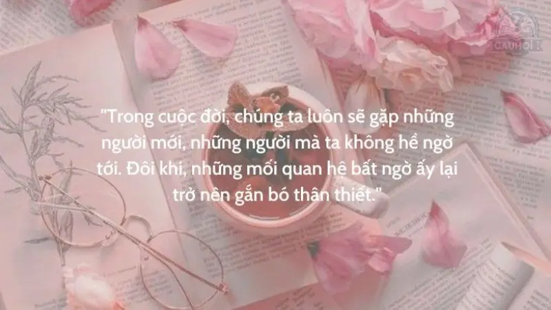 Tổng hợp các câu nói hay về cuộc sống tươi đẹp