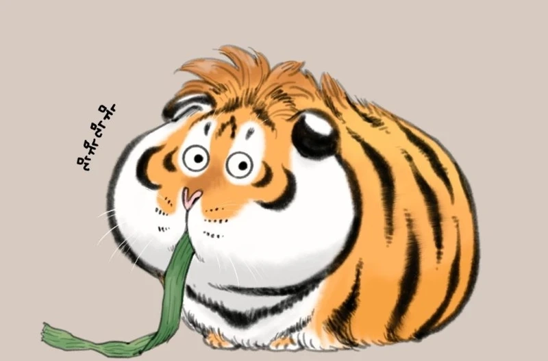 Tải ngay hình nền con hổ cute đáng yêu và sống động