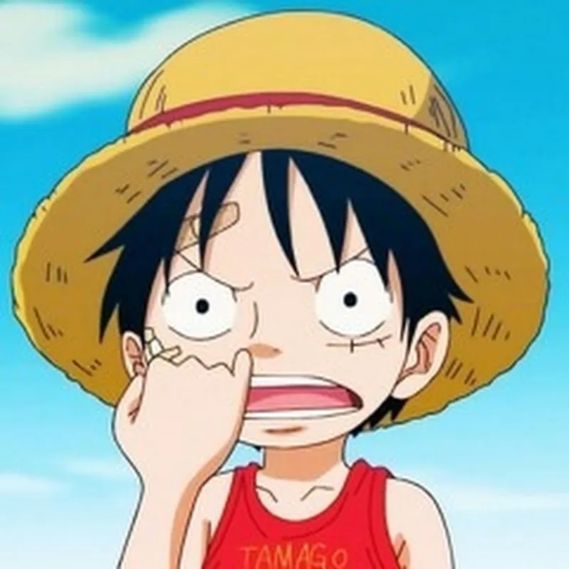 Avatar hình luffy cực ngầu, dành cho fan one piece đích thực