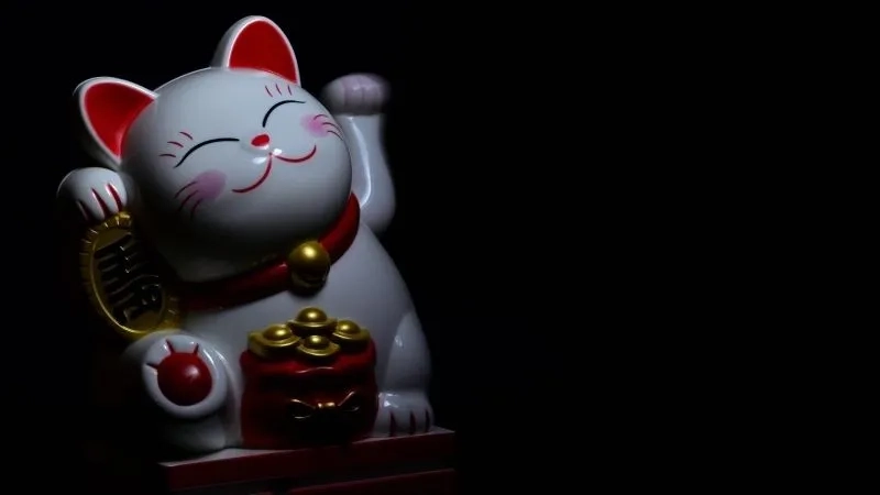 Khám phá ngay ava mèo cute siêu đáng yêu dành cho bạn
