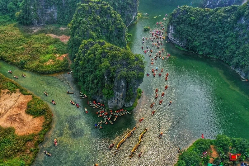 Màn hình lung linh hơn với hình nền 3d thiên nhiên cho điện thoại