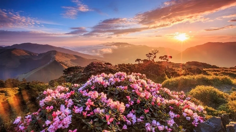 Màn hình lung linh hơn với hình nền 3d thiên nhiên cho điện thoại
