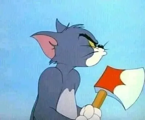 Ảnh mèo tom meme hài hước độc đáo, tạo trend cực đỉnh