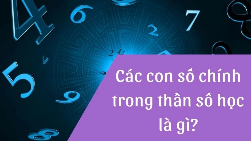 Các con số chính trong thần số học là gì?