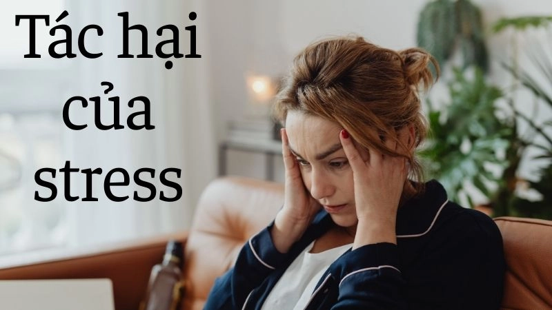 Khi cơn thịnh nộ trở thành bóng ma của áp lực tâm lý