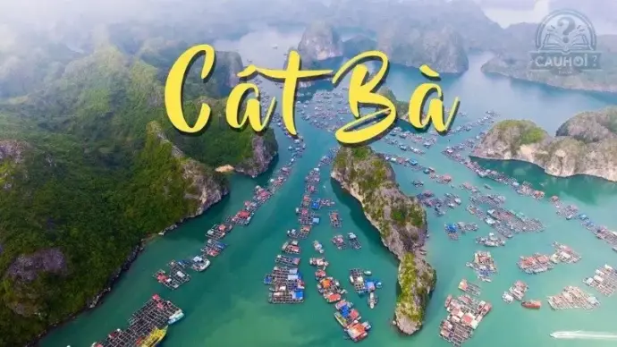 Cát Bà ở đâu? Khám phá hòn đảo kỳ quan của Việt Nam