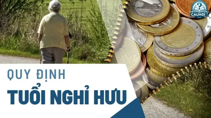 Cách tính lương hưu như thế nào? Giải đáp mọi thắc mắc về lương hưu