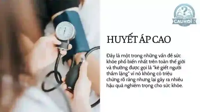 Cách hạ huyết áp nhanh trong 5 phút an toàn và hiệu quả