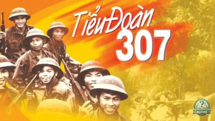 Tiểu sử Tiểu Đoàn 307 - Lịch sử, thành tích và đóng góp cụ thể