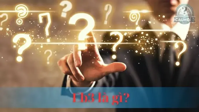EB3 là diện gì? Ưu điểm và điều kiện tham gia diện EB3
