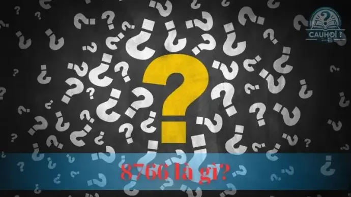 8766 là gì? Ý nghĩa và ứng dụng của mã số 8766