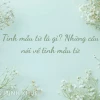 100+ Câu nói hay về tình mẫu tử: Nét đẹp thiêng liêng của mẹ