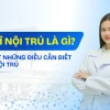 Bác sĩ nội trú là gì? Vai trò và quy trình đào tạo chi tiết