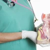 Bệnh trĩ như thế nào? Nguyên nhân, dấu hiệu và cách điều trị hiệu quả