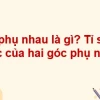 Hai góc phụ nhau là hai góc như thế nào và những điều cần biết