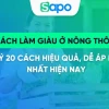 Học cách làm giàu ở nông thôn hiệu quả và bền vững năm 2026