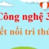 Máy thu thanh là gì và những tác dụng quan trọng