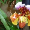 Những Câu Nói Hay Về Nghèo Bị Người Ta Khinh Truyền Cảm Hứng Sống Đẹp