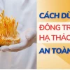 Tác hại của đông trùng hạ thảo: Những điều cần biết trước khi sử dụng