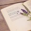 Tác hại của lối sống ích kỷ ảnh hưởng đến cá nhân và xã hội