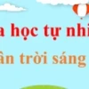 Tác hại của tiếng ồn đối với sức khỏe và cách phòng tránh hiệu quả