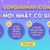 Tại sao cây trên cạn bị ngập úng lâu ngày sẽ chết?