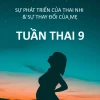 Thai nhi 9 tuần tuổi có gì đặc biệt và phát triển ra sao?