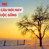 Tổng hợp những câu nói hay về cuộc sống ý nghĩa và truyền cảm hứng