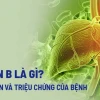 Vì sao bị viêm gan B? Nguyên nhân, dấu hiệu và cách phòng ngừa