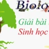 Vì sao nhu cầu dinh dưỡng khác nhau tùy người?