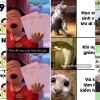 99+ meme hài hước về cuộc sống sinh viên bựa nhất năm 2026