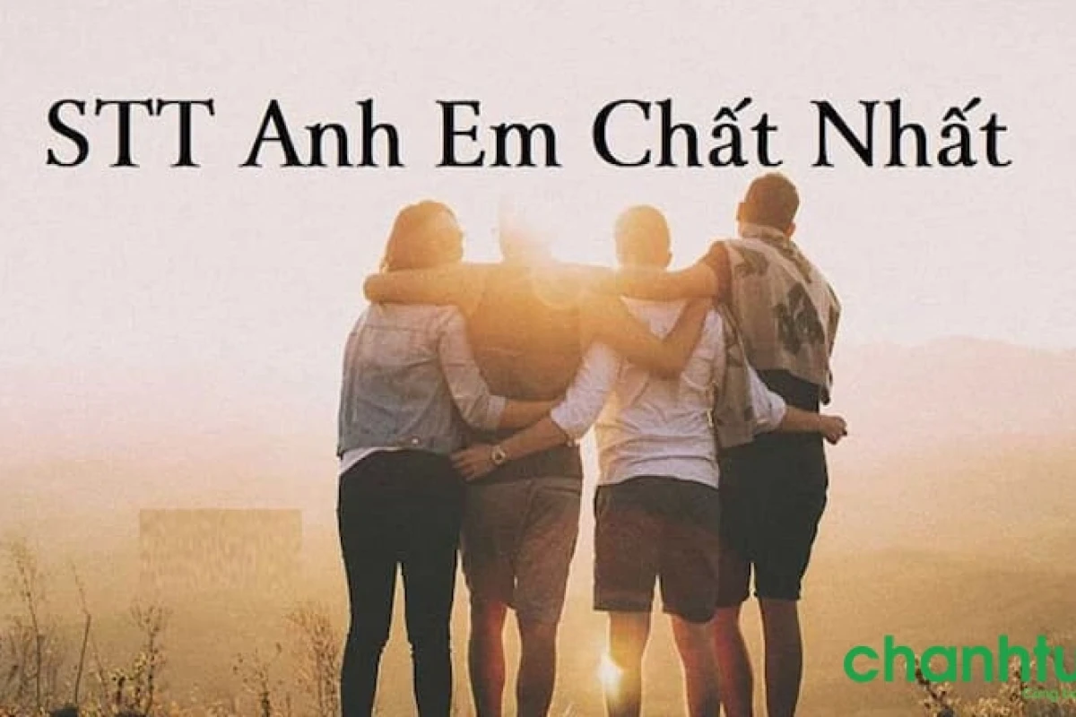Những Câu Nói Hay Về Tình Anh Em Xã Hội Sâu Sắc Nhất