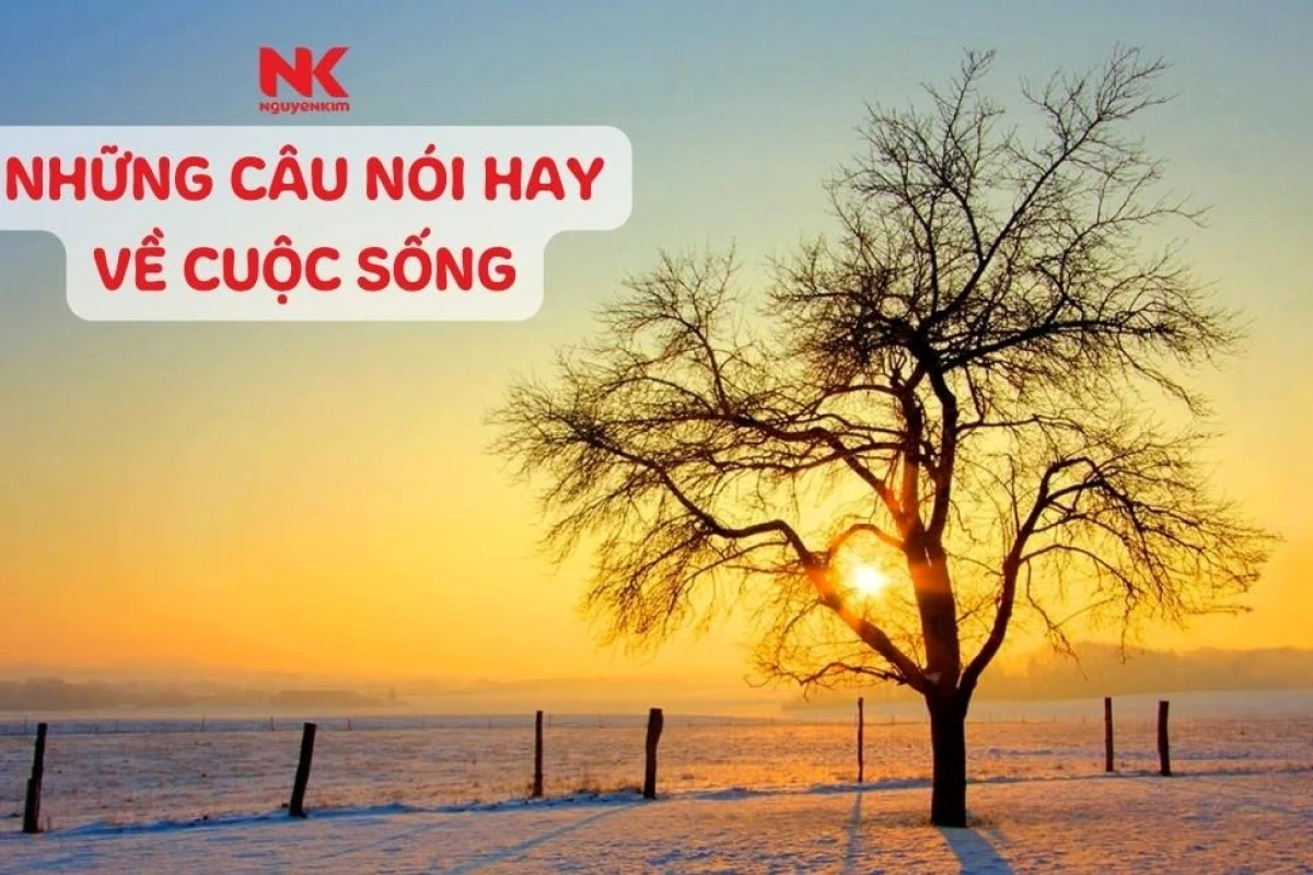 Tổng hợp những câu nói hay về cuộc sống ý nghĩa và truyền cảm hứng