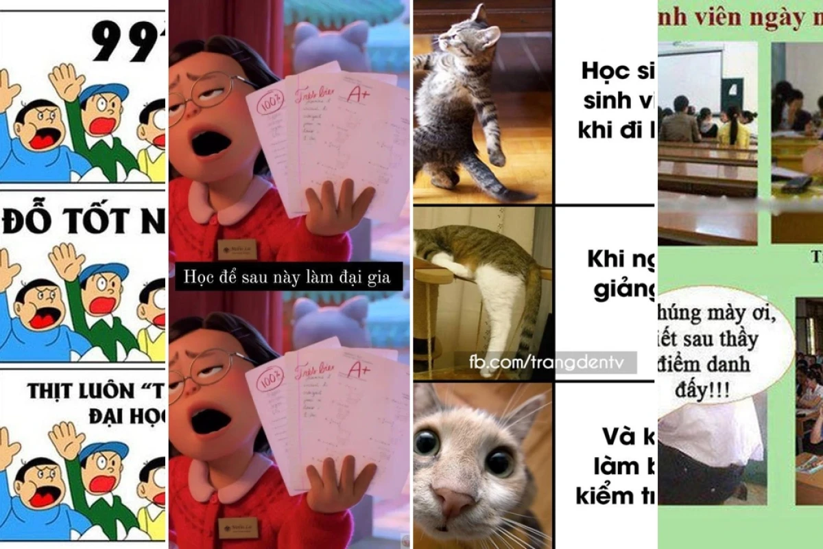 99+ meme hài hước về cuộc sống sinh viên bựa nhất năm 2026