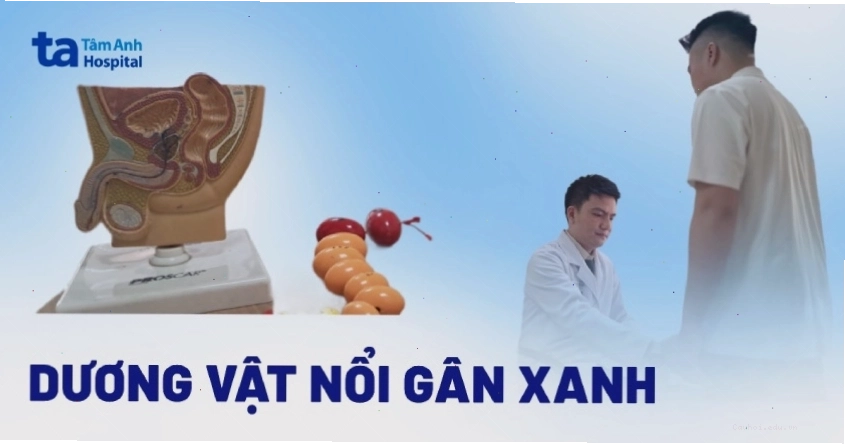 Ảnh hưởng của mạch máu đến dương vật