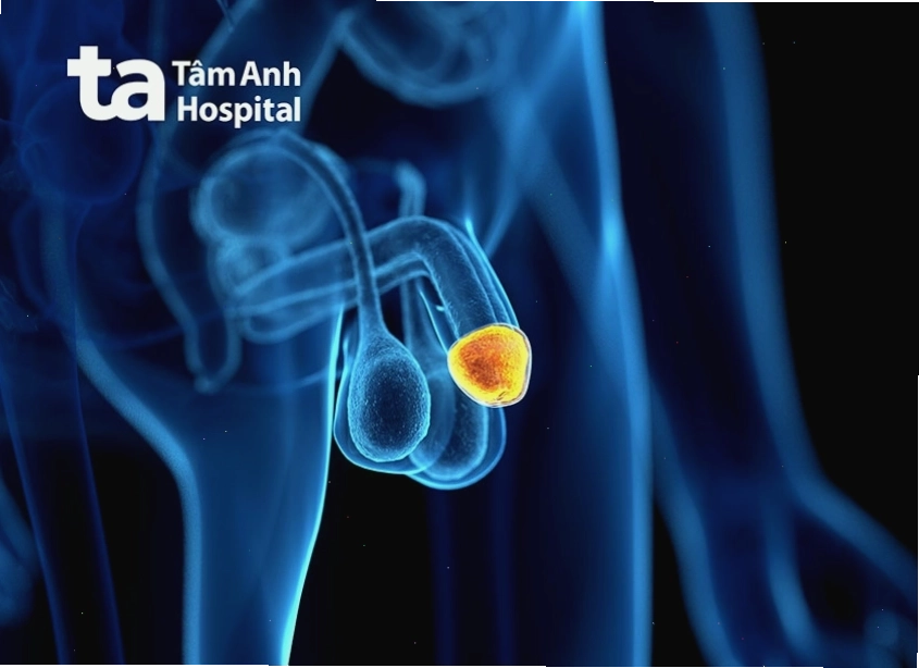 Ảnh hưởng của tâm lý đến khả năng cương cứng