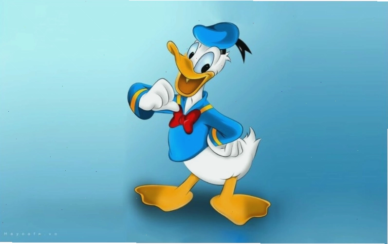 Ảnh vịt Donald trong một tình huống ngộ nghĩnh