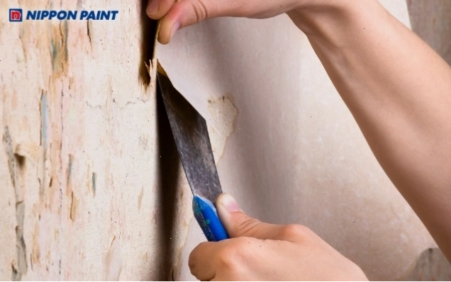 Bạn không nên lớp chồng lớp sơn mới lên tường mà phải cạo sạch lớp sơn cũ trước đó