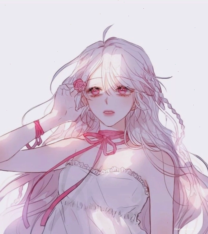 Bảng tổng hợp các mẫu avatar đôi anime ngầu