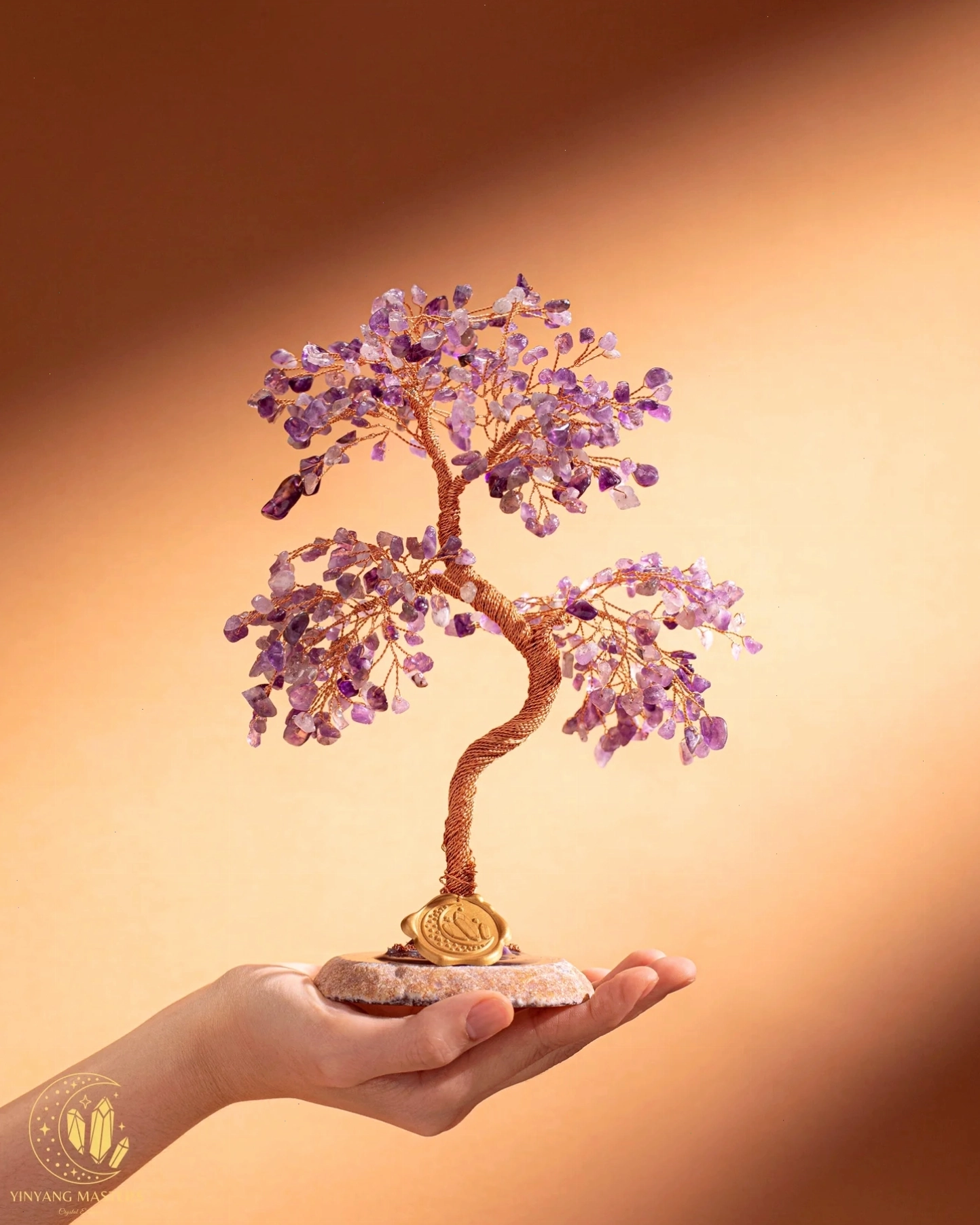 Bát Nhã Phù Sinh - Cây Thịnh Vượng biểu tượng cho sự giàu có