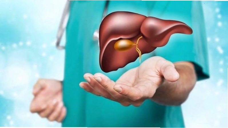 Bầu có những đặc tính tốt cho gan