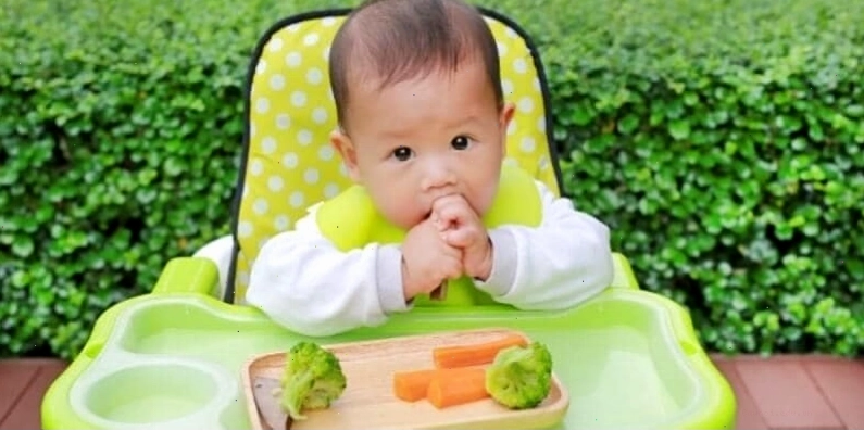 Bé tự cầm thức ăn với phương pháp ăn dặm BLW