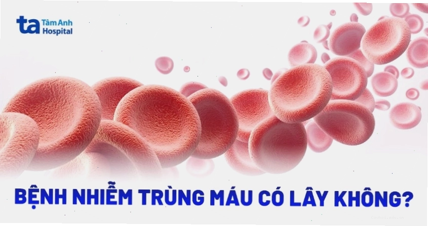 Bệnh nhiễm trùng máu có lây không?