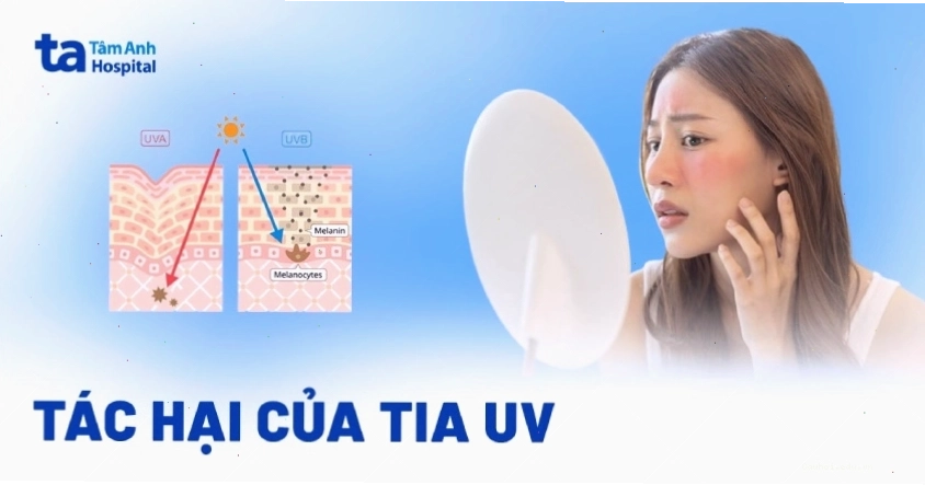 Biểu đồ minh họa các loại tia UV UVA, UVB và UVC