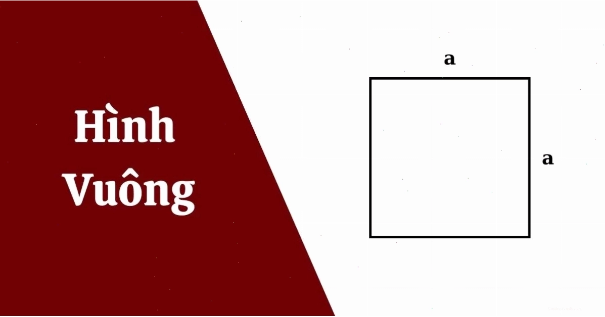 Biểu đồ thể hiện sự phân bổ thời gian hợp lý trong ngày