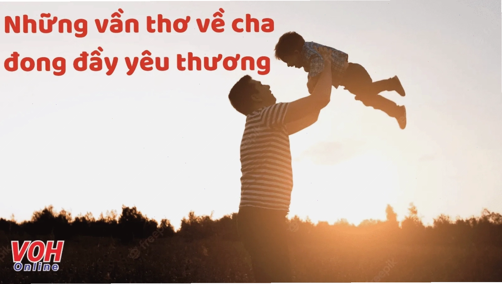 Các bài thơ cảm động về cha