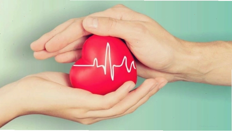 Các chất chống oxy hóa trong cây chùm ngây giúp bảo vệ tế bào tim mạch