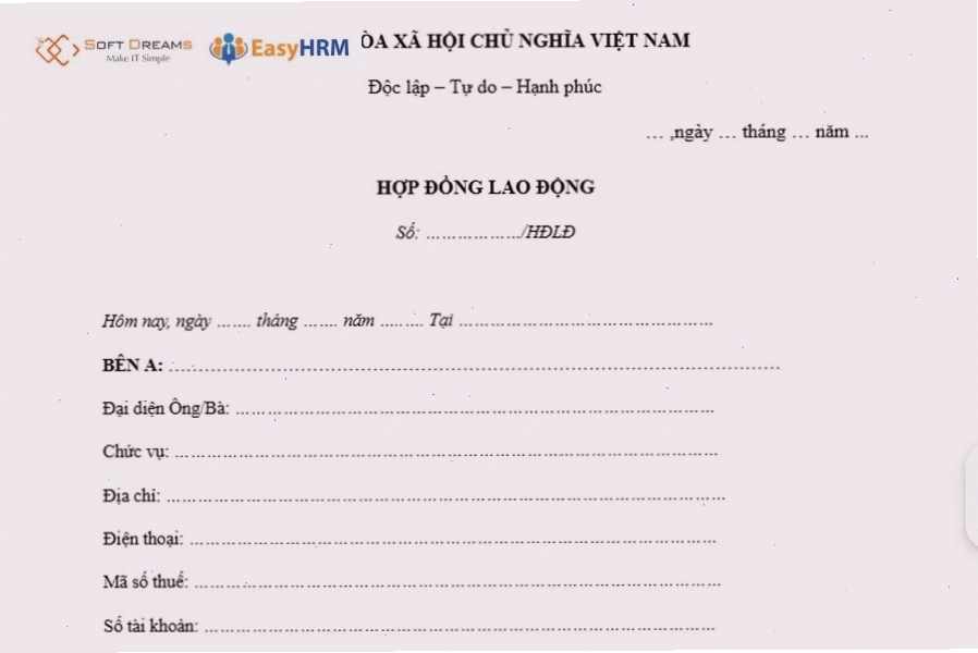 Các mẫu hợp đồng lao động thông dụng thể hiện sự đa dạng trong cách soạn thảo