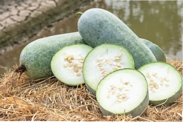 Các món ăn ngon từ bí xanh
